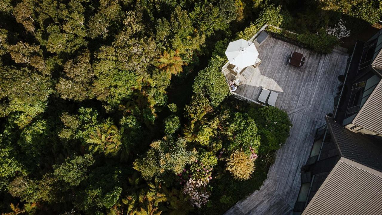 Rimu * Hokitika